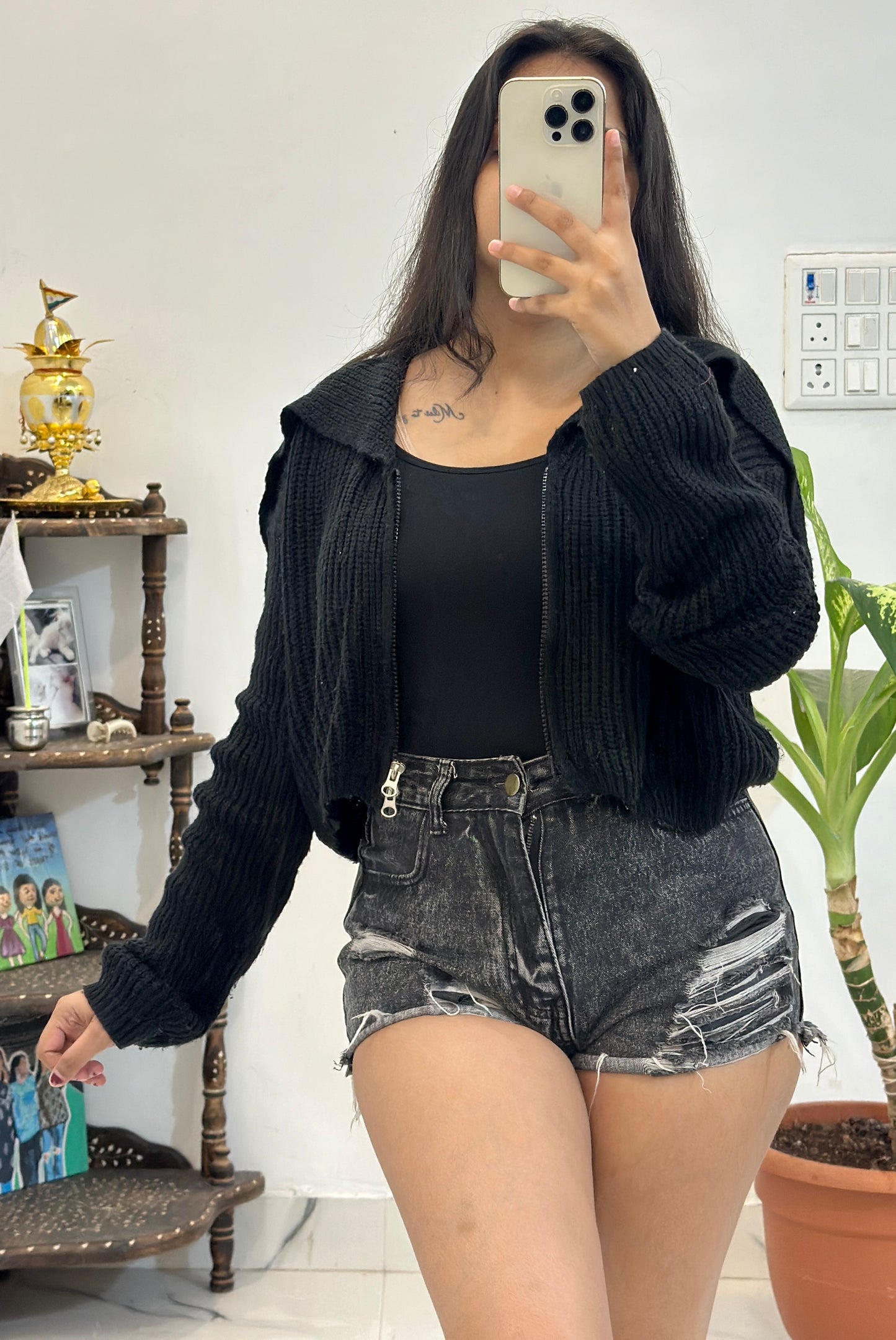 Crop zipper sweater (Upto 42)