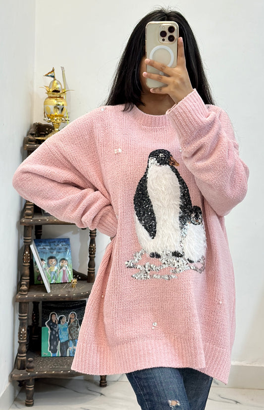 Oversized Korean sweater (46-48)